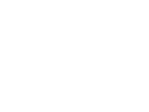 WU Executive Academy